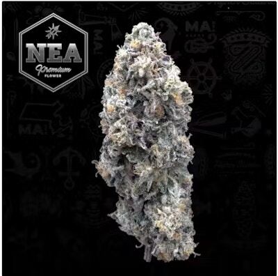 Product NEA Premium | Street Tartz | Flower