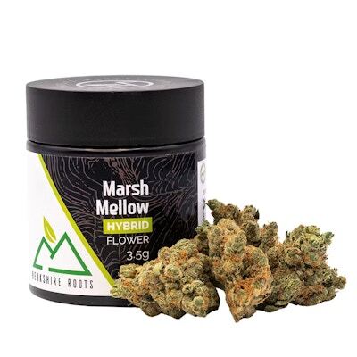 Product Berkshire Roots | Marsh-Mellow | Flower