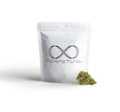 Product Perpetual | Cook'd #5 | Flower