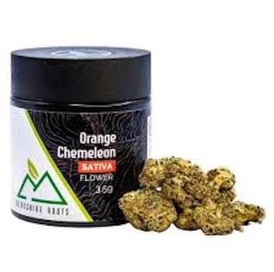 Product Berkshire Roots | Orange Chemeleon | Flower