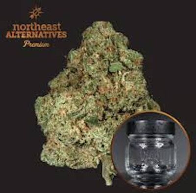 Product NEA Premium | White 99 | Flower