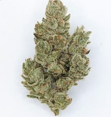 Product Fathom | GG4 | Flower