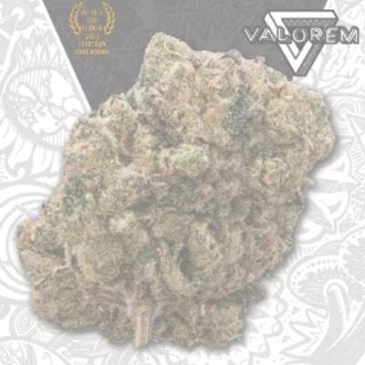 Product NEA | Kine Garlic Tsunami | Flower