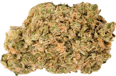 Product NEA Awarded | Sour Tsunami | Flower